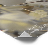 Kolibrie 5265 poster (Hoek)