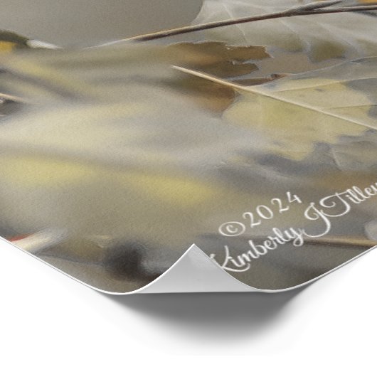 Kolibrie 5265 poster (Hoek)