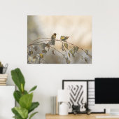 Kolibrie 5265 poster (Thuiskantoor)