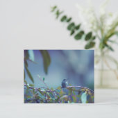 Kolibrie 5738 briefkaart (Staand voorkant)