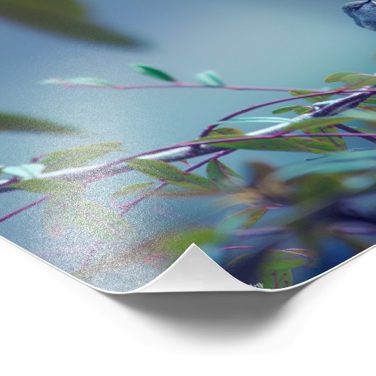 Kolibrie 5738 foto afdruk (Hoek)