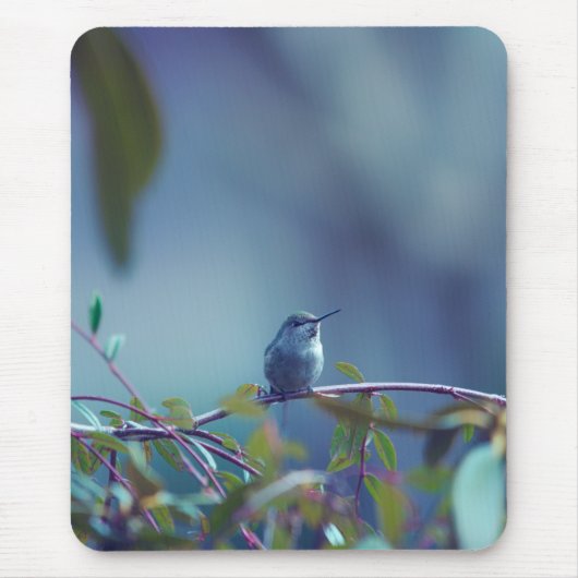 Kolibrie 5738 muismat (Voorkant)