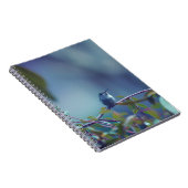 Kolibrie 5738 notitieboek (Rechterzijde)