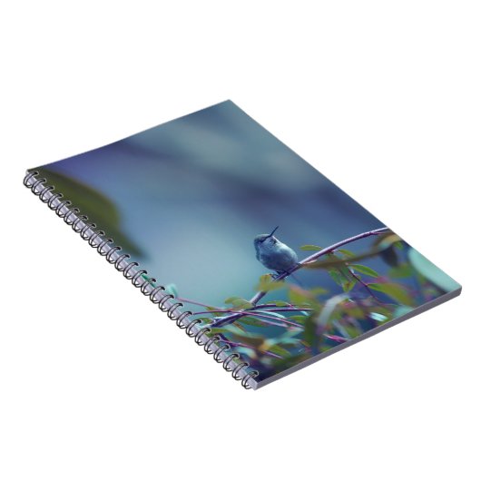 Kolibrie 5738 notitieboek (Rechterzijde)