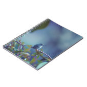 Kolibrie 5738 notitieboek (Linkerzijde)