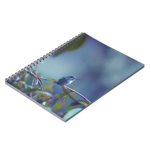 Kolibrie 5738 notitieboek (Linkerzijde)