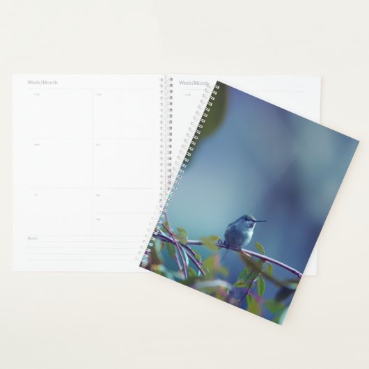 Kolibrie 5738 planner (Display)