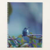 Kolibrie 5738 planner (Voorkant)