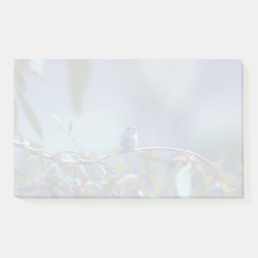 Kolibrie 5738 post-it® notes (Voorkant)