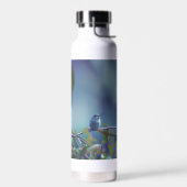 Kolibrie 5738 waterfles (Links)