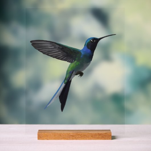 Kolibrie Acryl Bord (Neutraal)