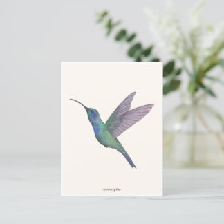 Kolibrie Aquarel Briefkaart