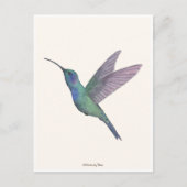 Kolibrie Aquarel Briefkaart (Voorkant)
