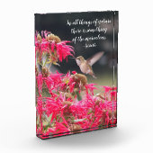 Kolibrie Aristoteles Philosophical Quote Fotoblokken (Links)