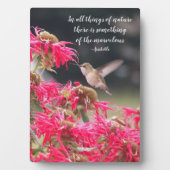 Kolibrie Aristoteles Philosophical Quote Fotoplaat (voorkant)