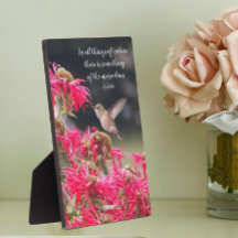 Kolibrie Aristoteles Philosophical Quote