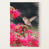 Kolibrie Aristoteles Philosophical Quote Notitieboek (Achterkant)