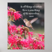 Kolibrie Aristotelische Filosofische Spreuk Poster (Voorkant)