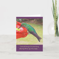 KOLIBRIE BIJ FEEDER / DINGEN KOLKEN MEE