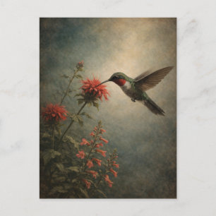 Kolibrie Bloei Vogels Kunst Bloemen Postkaart