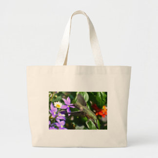Kolibrie Boodschappentas Grote Tote Bag