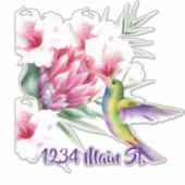 Kolibrie brievenbus sticker (Voorkant)