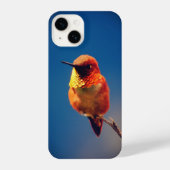 kolibrie, bruin rood, vogel iPhone hoesje (Achterkant)