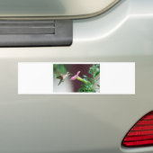 kolibrie bumpersticker (Op auto)