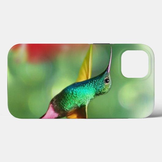 Kolibrie Case-Mate Apple iPhone 13 Case (Achterkant (horizontaal))