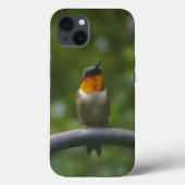 Kolibrie Case-Mate iPhone Case (Achterkant)