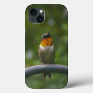Kolibrie Case-Mate iPhone Case