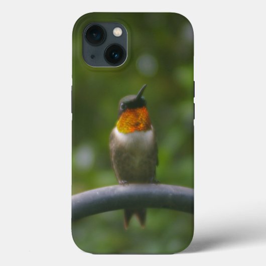 Kolibrie Case-Mate iPhone Case (Achterkant)
