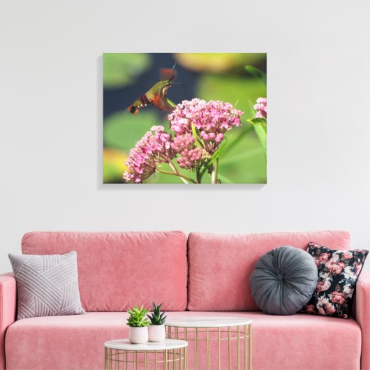 Kolibrie Clearwing Moth Canvas Afdruk (Insitu (Woonkamer))