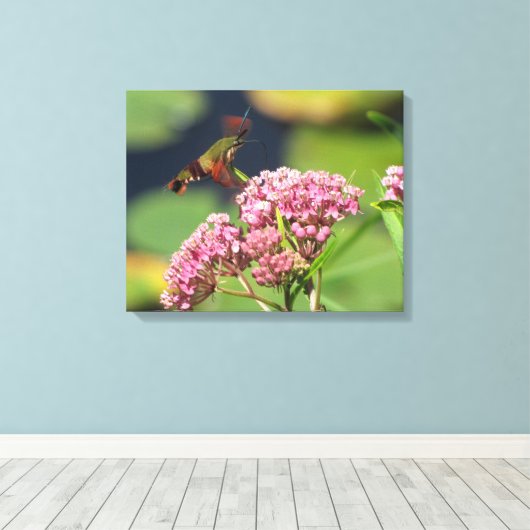 Kolibrie Clearwing Moth Canvas Afdruk (Insitu (Houten vloer))