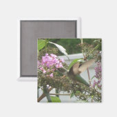 Kolibrie dansmagneet magneet (Voorkant / Achterkant)