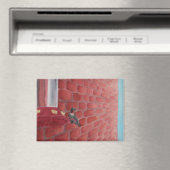 Kolibrie door een bakstenen muur: magneet 3,5 "x2, (Insitu (Vaatwasser))