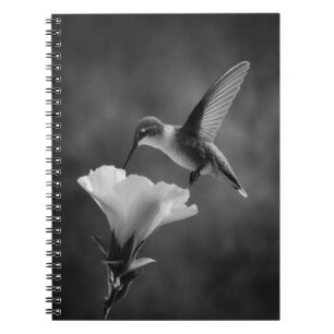 Kolibrie Drink Flower Notitieboek