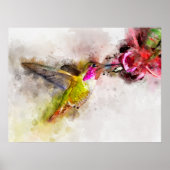 Kolibrie drinkend van Roze Bloem Aquarel Poster (Voorkant)