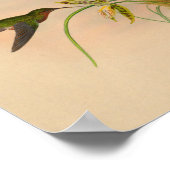  kolibrie Druk gele ventilator af Poster (Hoek)