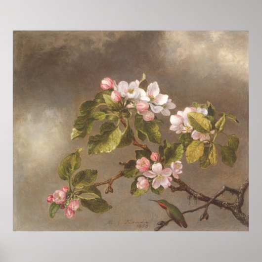Kolibrie en appelbloesems 1875 Poster (Voorkant)