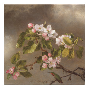 Kolibrie en appelbloesems 1875 Poster