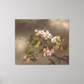 Kolibrie en appelbloesems canvas afdruk (Voorkant)