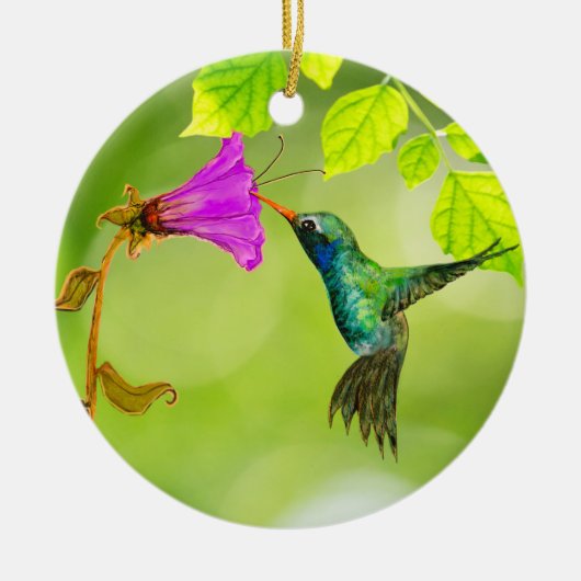 Kolibrie en Bloem Hanging Pull Keramisch Ornament (Voorkant)