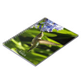 Kolibrie en Bloem Natuur Foto Notitieboek (Linkerzijde)