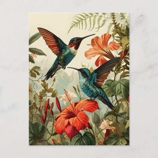 Kolibrie en bloemen:  Briefkaart (Voorkant)