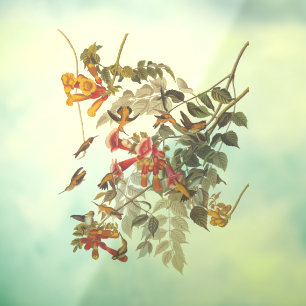 Kolibrie en bloemen van Audubon Raamsticker