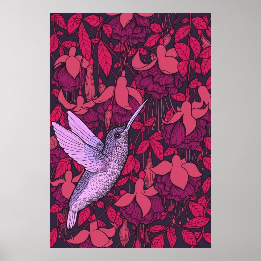 Kolibrie en fuchsia paars poster (Voorkant)