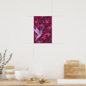 Kolibrie en fuchsia paars poster (Keuken)