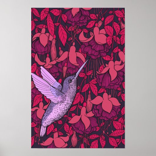 Kolibrie en fuchsia paars poster (Voorkant)
