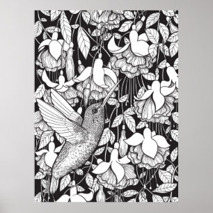 Kolibrie en fuchsia poster